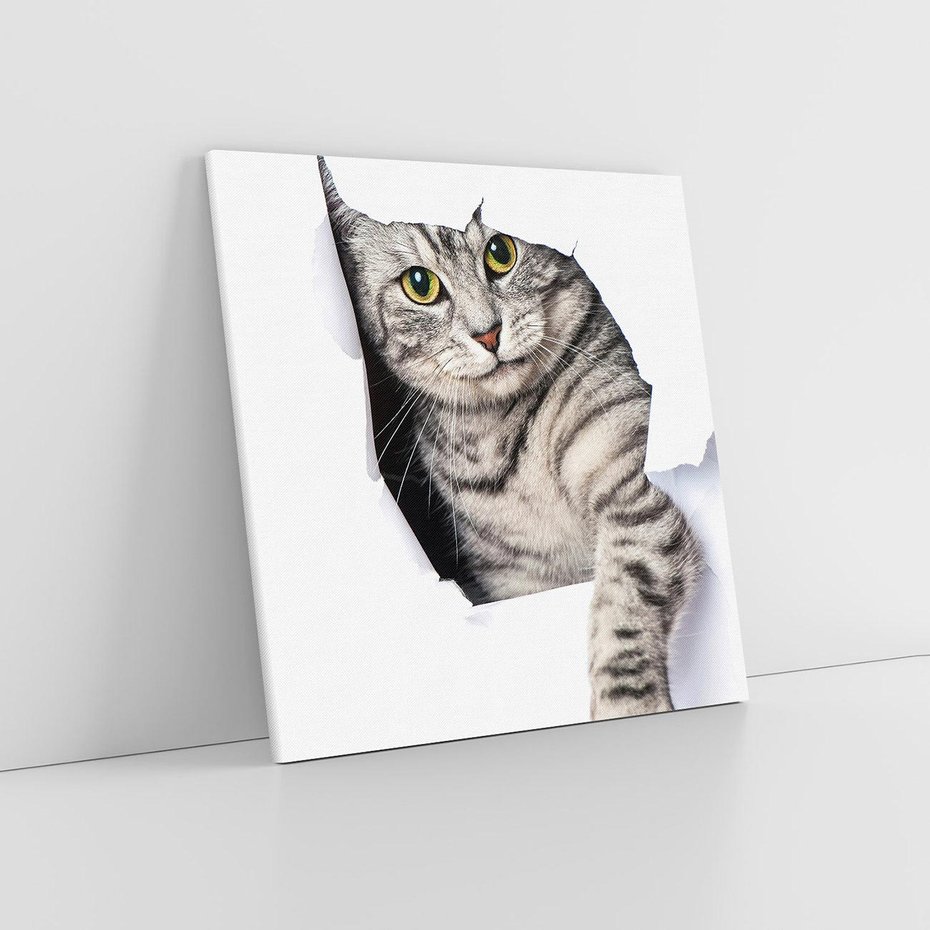 Obraz na płótnie 40x40 - Tajemniczy kot i jego świat - kot, dziura