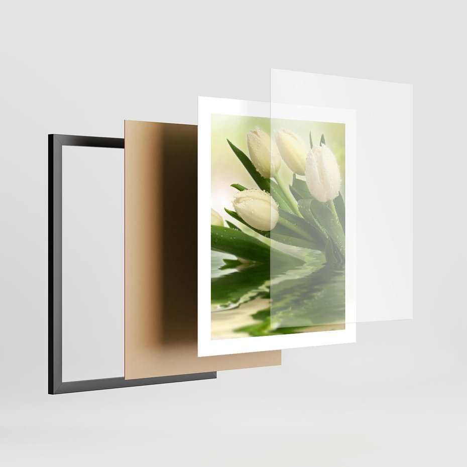 Plakat w ramie 40x50 - Białe Piękno - białe, tulipany - rama czarna