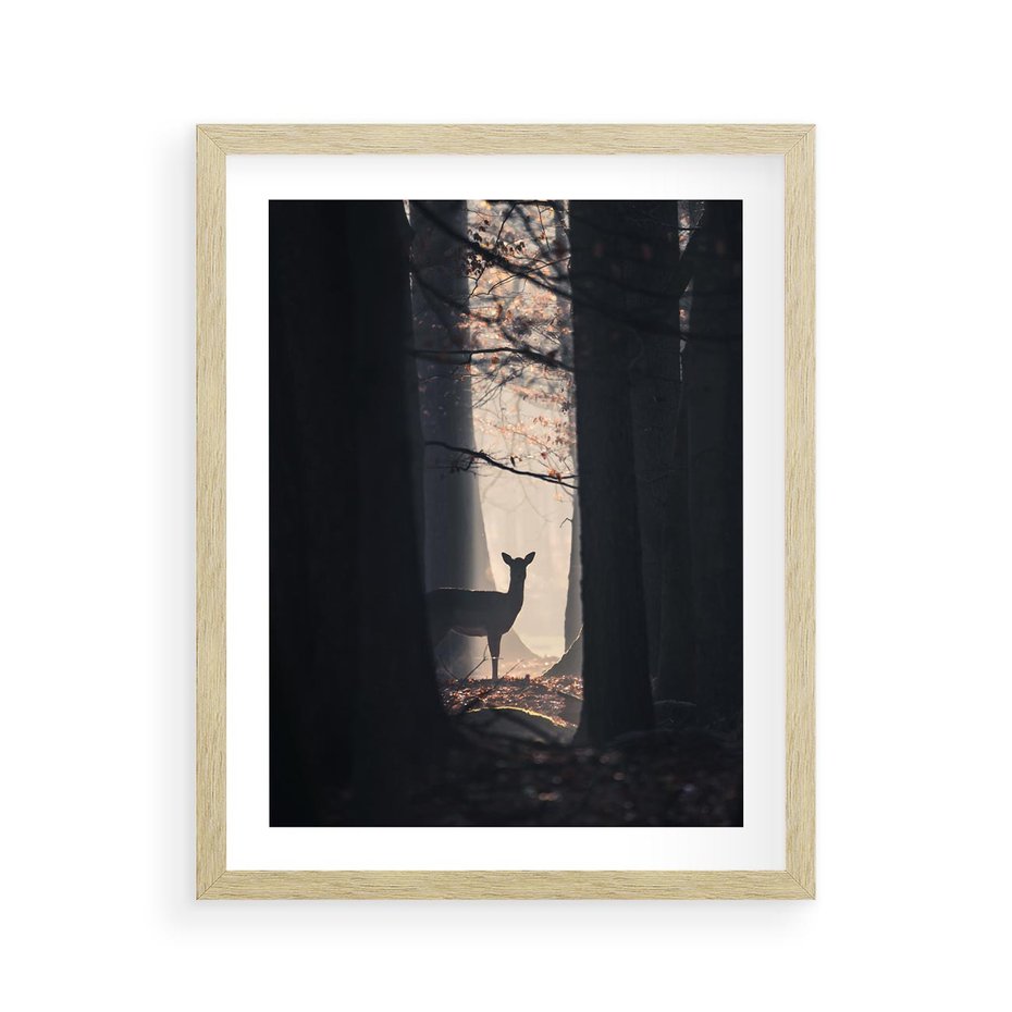 Plakat w ramie 40x50 - Sarnie Skoki - zdjęcie, klimatyczny las - rama drewno