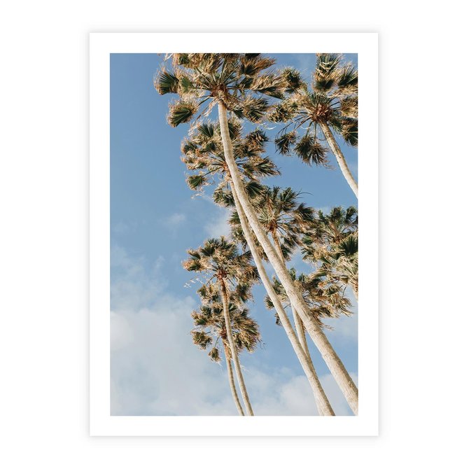 Plakat bez ramy 21x30 - Pod Niebem Palmy - palmy na niebieskim niebie