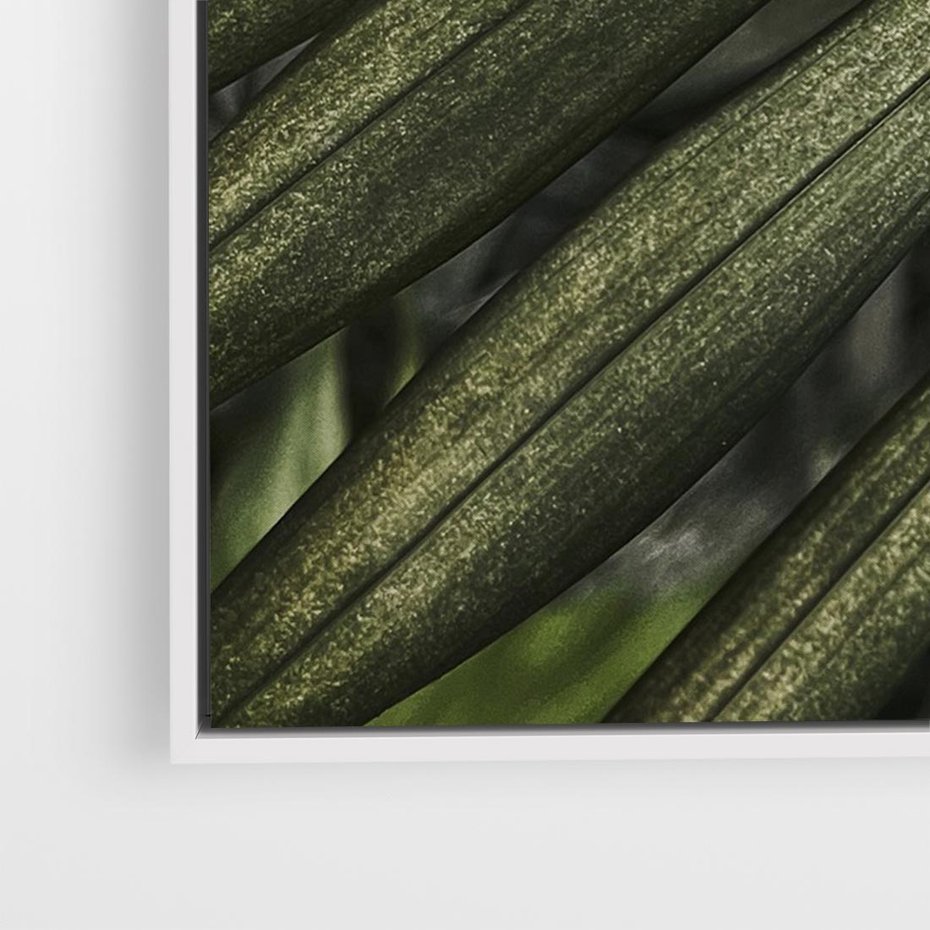 Obraz w ramie 120x80 - W Liściach Ukryte - zdjęcie, fotografia - rama biała