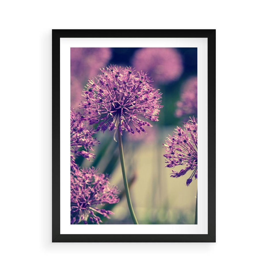 Plakat w ramie 50x70 - Kwiatowa łąka w pełnym rozkwicie - kwiaty, łąka - rama czarna