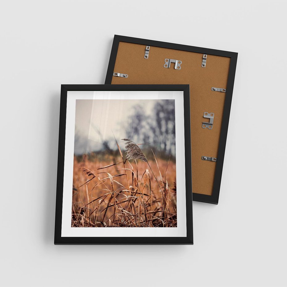 Plakat w ramie 40x50 - Jesienna Melancholia - suche trawy, jesień - rama czarna