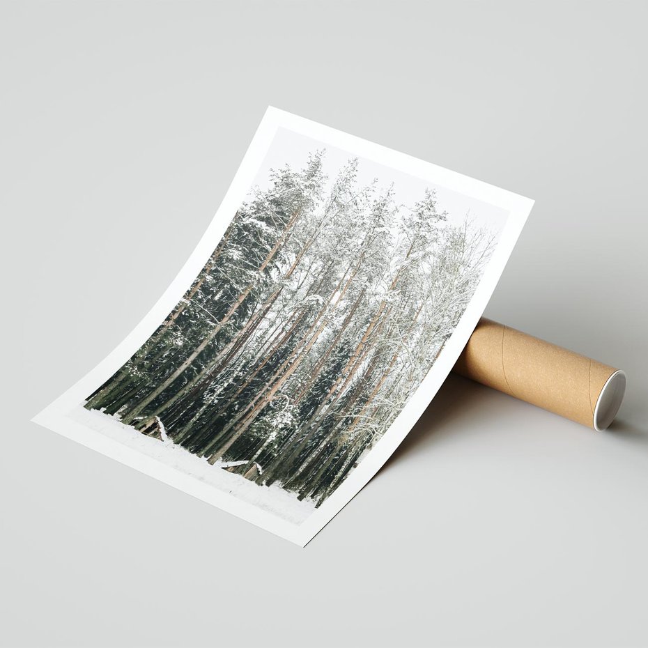 Plakat bez ramy 30x40 - Sypiący Śnieg - las w zimie, drzewa pod śniegiem