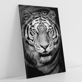 Obraz na płótnie 70x100 - Tygrys Czarno-Biały: Siła i Delikatność - tygrys, czarno