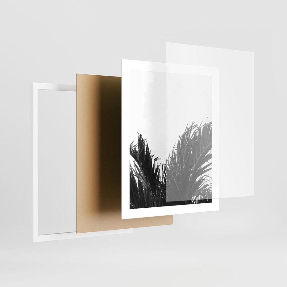 Plakat w ramie 40x50 - Tropikalna Uroda w Czerni i Bieli - fotografia czarno biała, liście palmy - rama biała