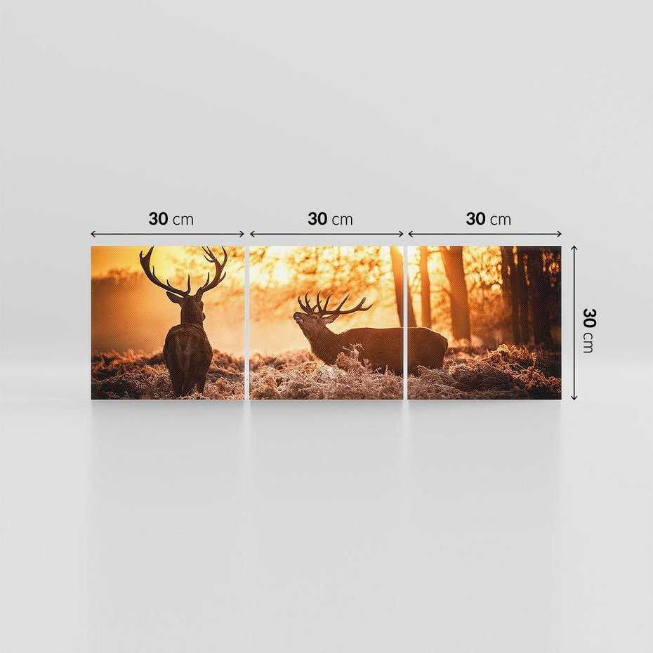 Obraz na płótnie 90x30 - Jeleń w lesie: Spotkanie w dziczy - jeleń, jelenie