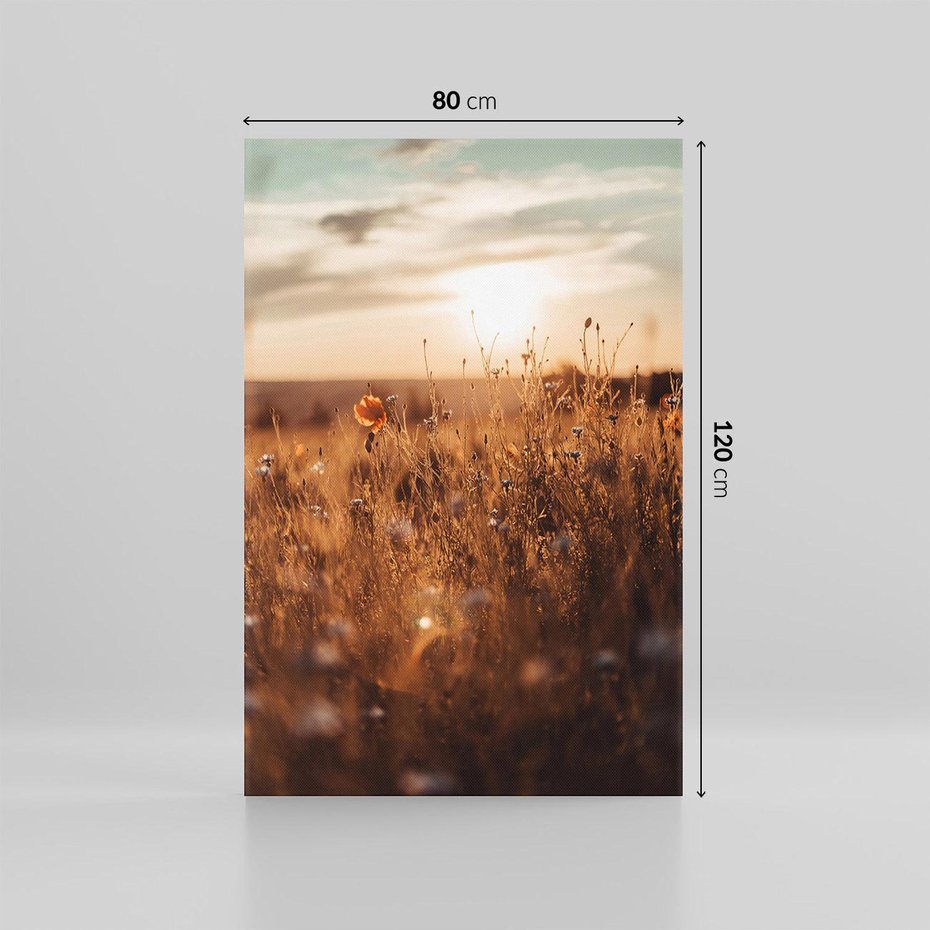 Obraz na płótnie 80x120 - Zachwyt zachodem słońca na łące - zachód, słońca