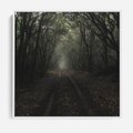 Obraz w ramie 50x50 - Urok Drogi - las, droga - rama biała