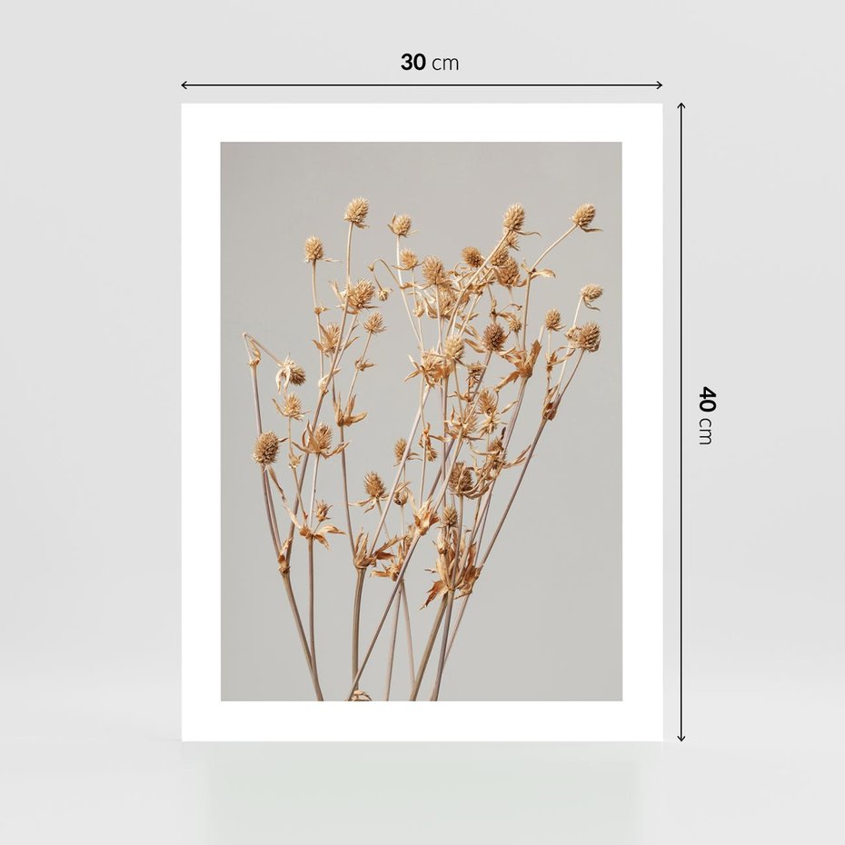 Plakat bez ramy 30x40 - Delikatne gipsówki - gipsówka, suche