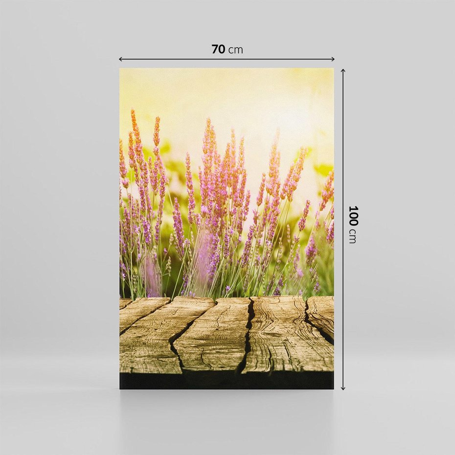 Obraz na płótnie 70x100 - Delikatność i Urok - lawenda, kwiat