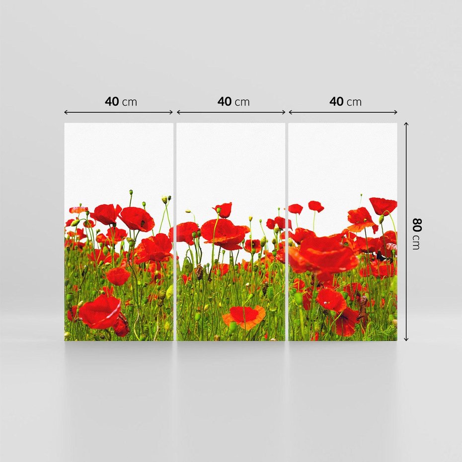 Obraz na płótnie 120x80 - Bujne maki na malowniczej łące - mak, maki