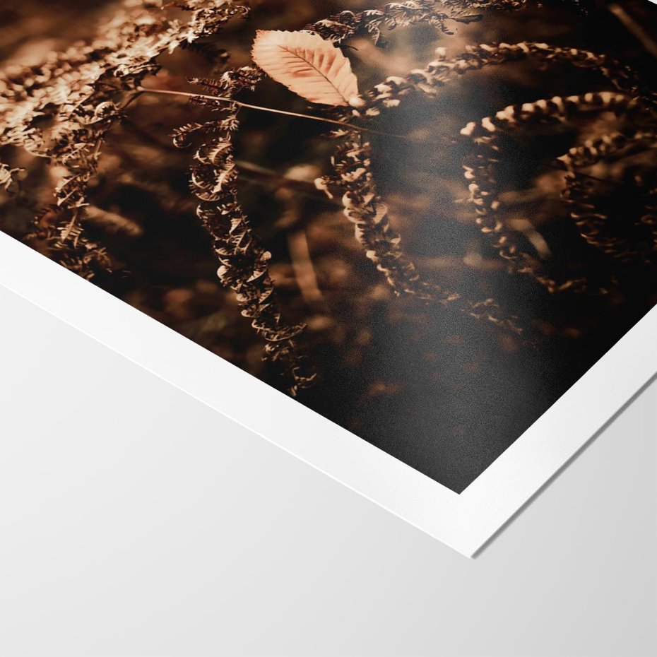 Plakat bez ramy 30x40 - Gałęzie i Liść w Brązowej Tonacji - suche gałęzie, liść