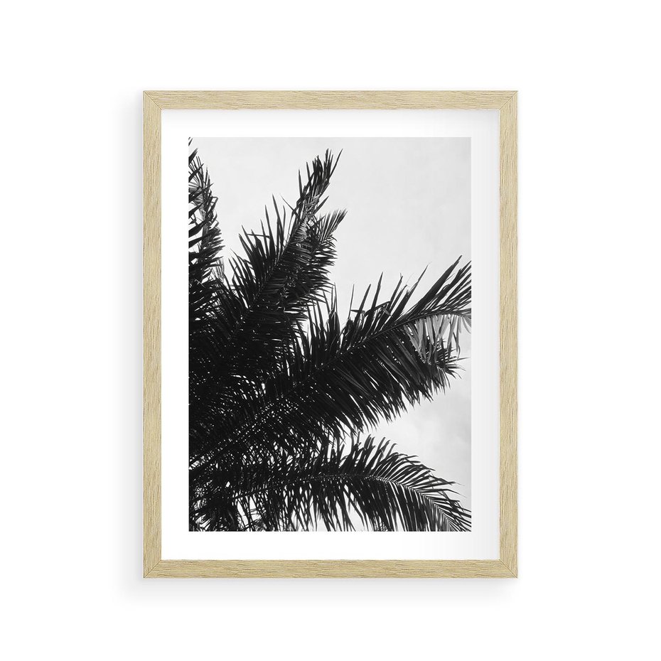 Plakat w ramie 30x40 - Czas Zapomnienia - palmy, czarno biała fotografia - rama drewno