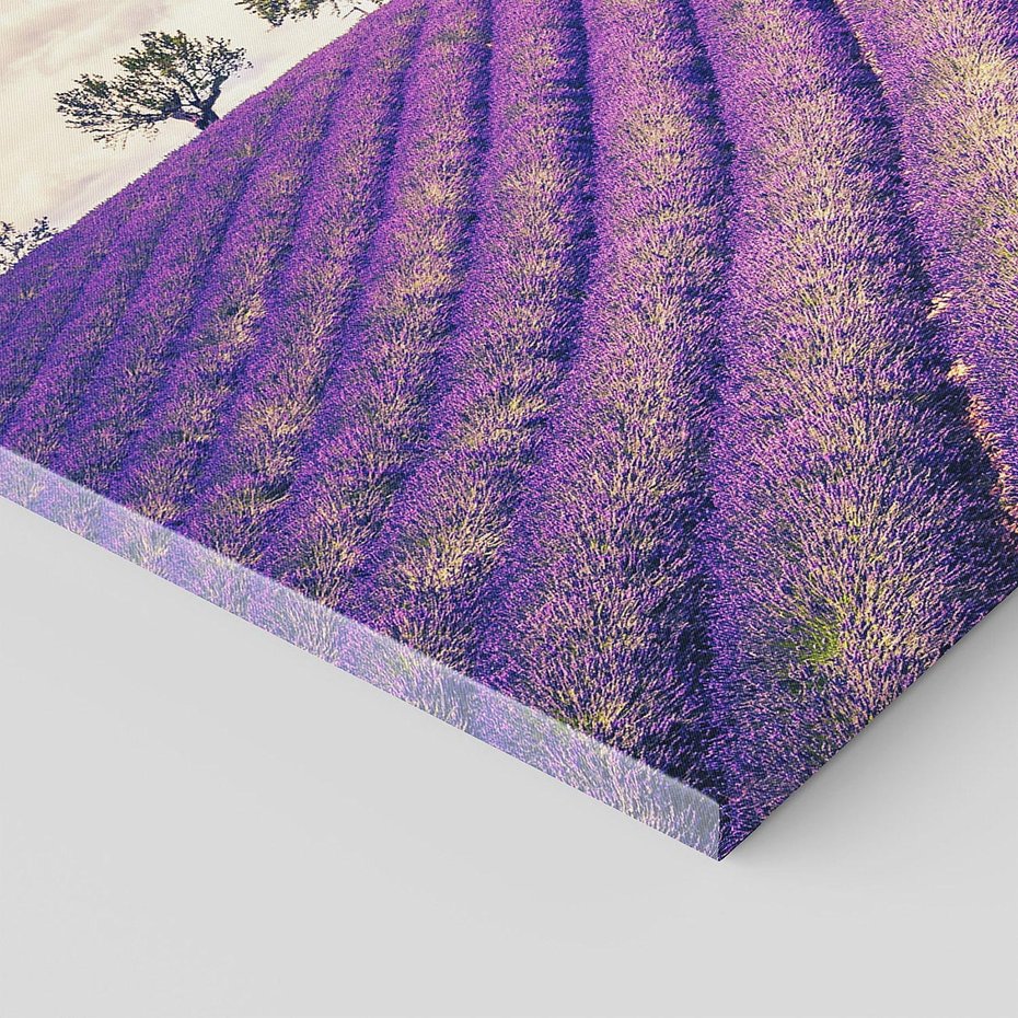 Obraz na płótnie 120x60 - Uroda Lawendy: Kwiatowy Cud Natury - lawenda, kwiaty