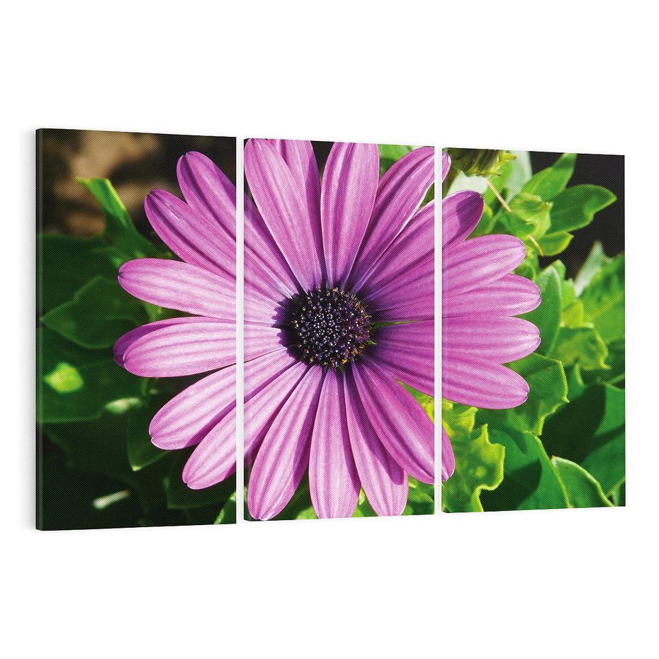 Obraz na płótnie 120x80 - Kwiatowy Dotyk - kwiat, kwiaty