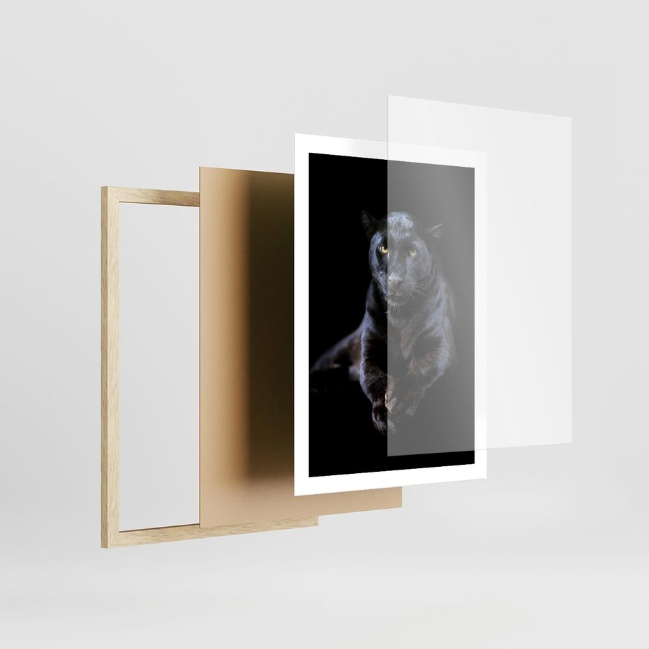 Plakat w ramie 50x70 - Czarna pantera: majestat i siła - czarna, pantera - rama drewno