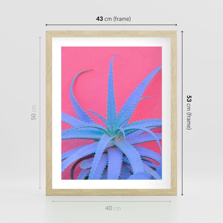 Plakat w ramie 40x50 - Piękno Pustyni - kaktusy, liście - rama drewno