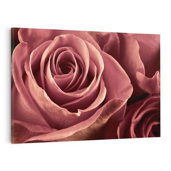 Obraz na płótnie 120x80 - Romantyczna Róż - róża, kwiat