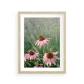 Plakat w ramie 30x40 - Natura w Pełnym Blasku - kwiaty na łące, różowe kwiaty polne - rama drewno