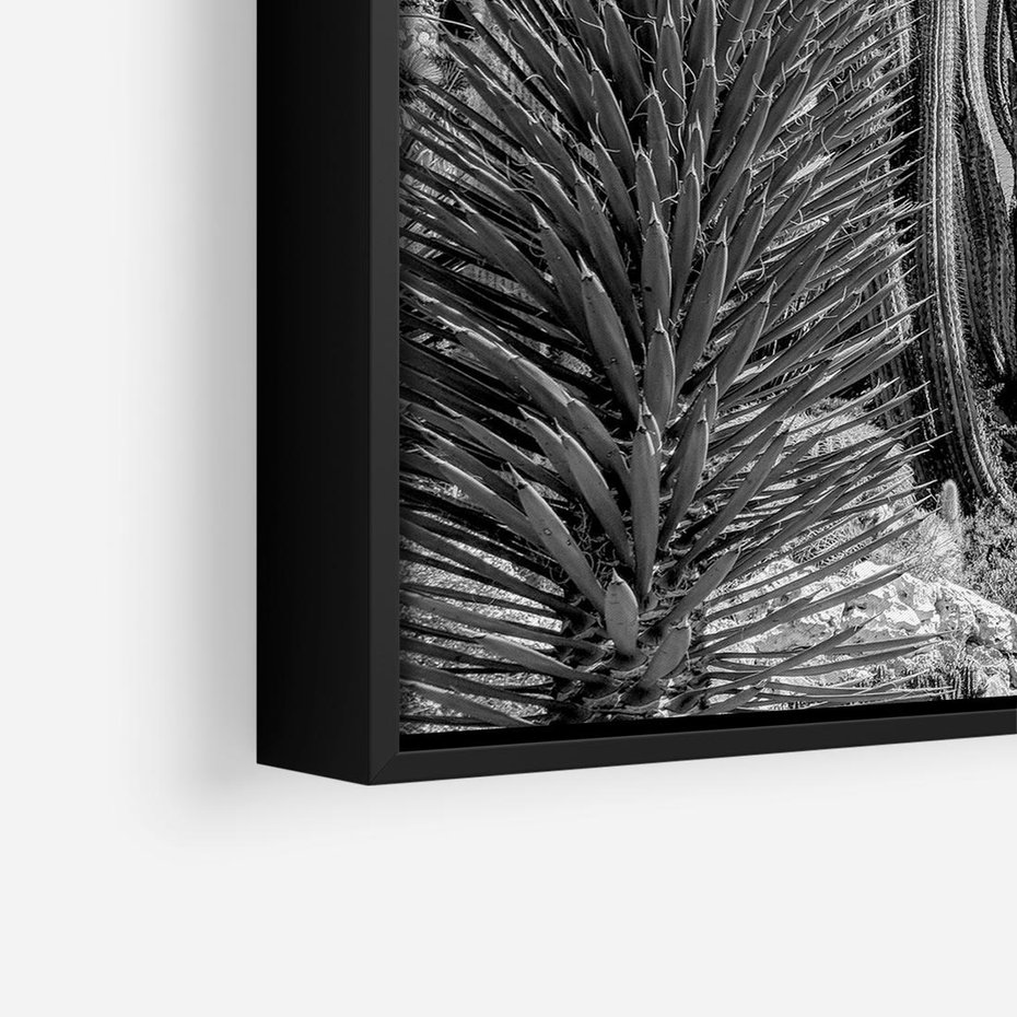 Obraz w ramie 50x50 - Pustynny Klimat - czarno białe zdjecie, pustynia - rama czarna