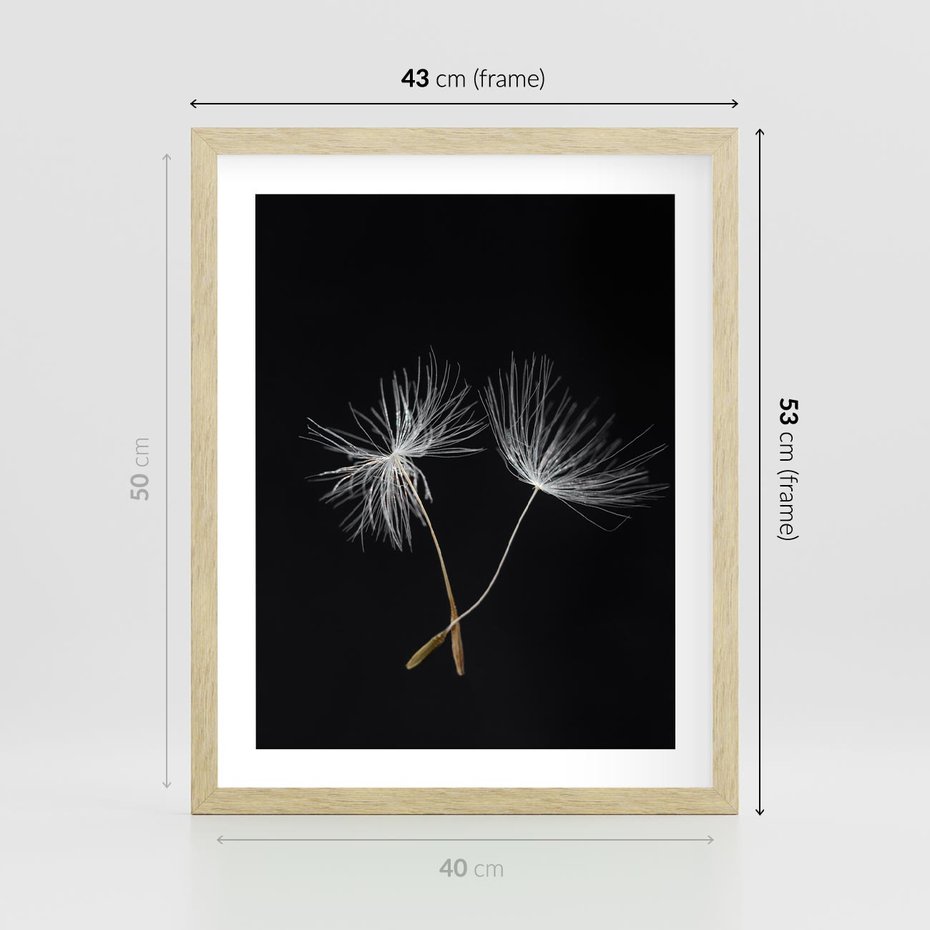 Plakat w ramie 40x50 - Delikatność Wiatru - dmuchawce, makro - rama drewno