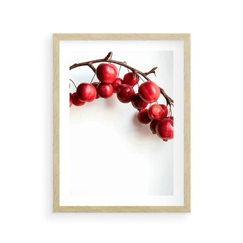 Plakat w ramie 30x40 - Jesienne Owoce - jarzębina, czerwone owoce - rama drewno