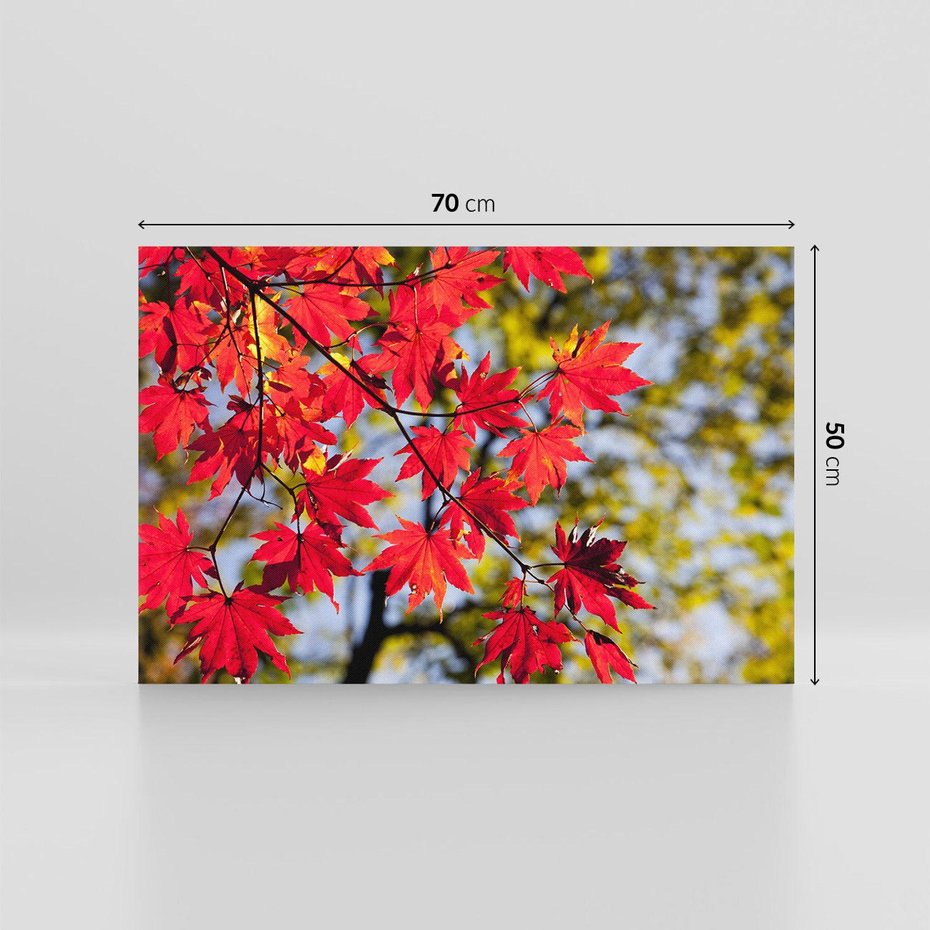Obraz na płótnie 70x50 - Jesienny Urok Drzewa i Opadających Liści - drzewo, liście