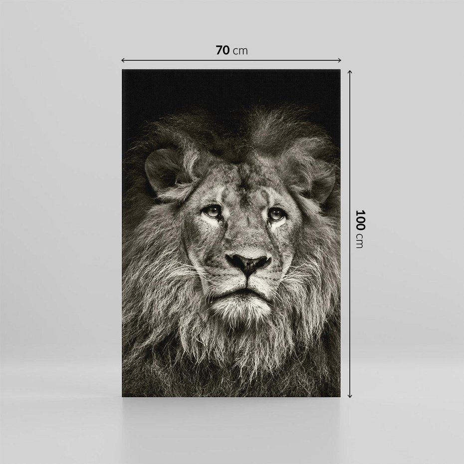 Obraz na płótnie 70x100 - Moc lewego spojrzenia - lew, czarno