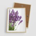 Plakat w ramie 50x70 - Pola lawendy w pełnym rozkwicie - lawenda, kwiaty - rama drewno