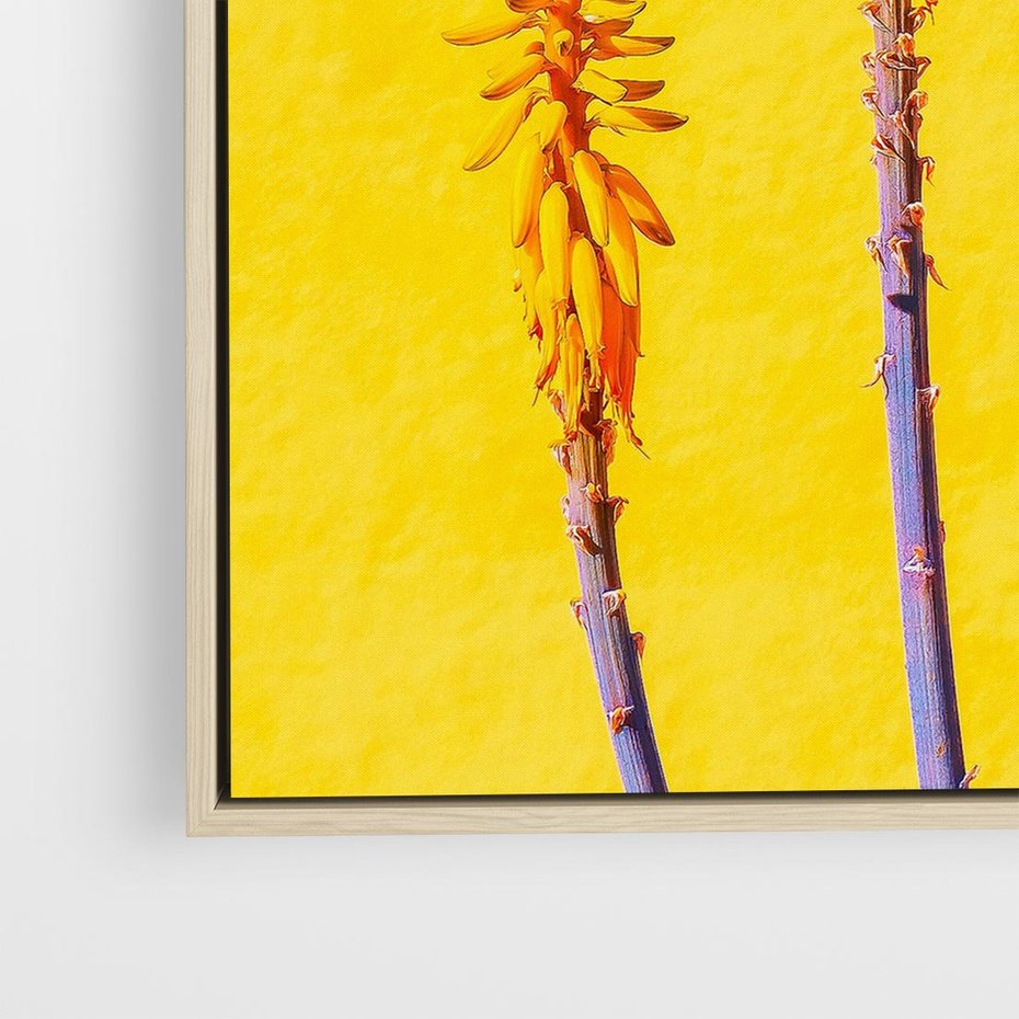 Obraz w ramie 80x80 - Radość Natury - kolor, kwiaty - rama drewno