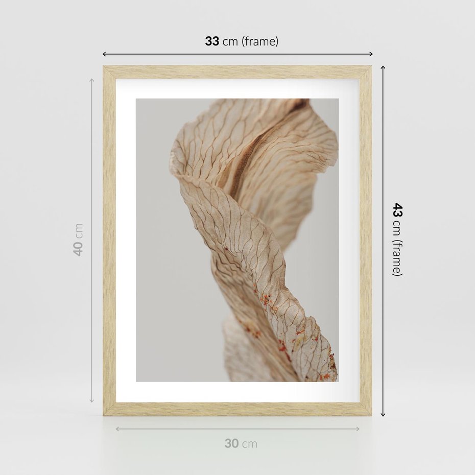 Plakat w ramie 30x40 - Suszone piękno - susz, suche - rama drewno