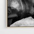 Obraz w ramie 120x80 - Potęga Afryki - czarno biała fotografia, zbliżenie na postać nosorożca - rama drewno
