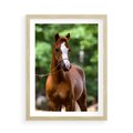 Plakat w ramie 50x70 - Portret Szlachetnego Konia - koń, portret - rama drewno