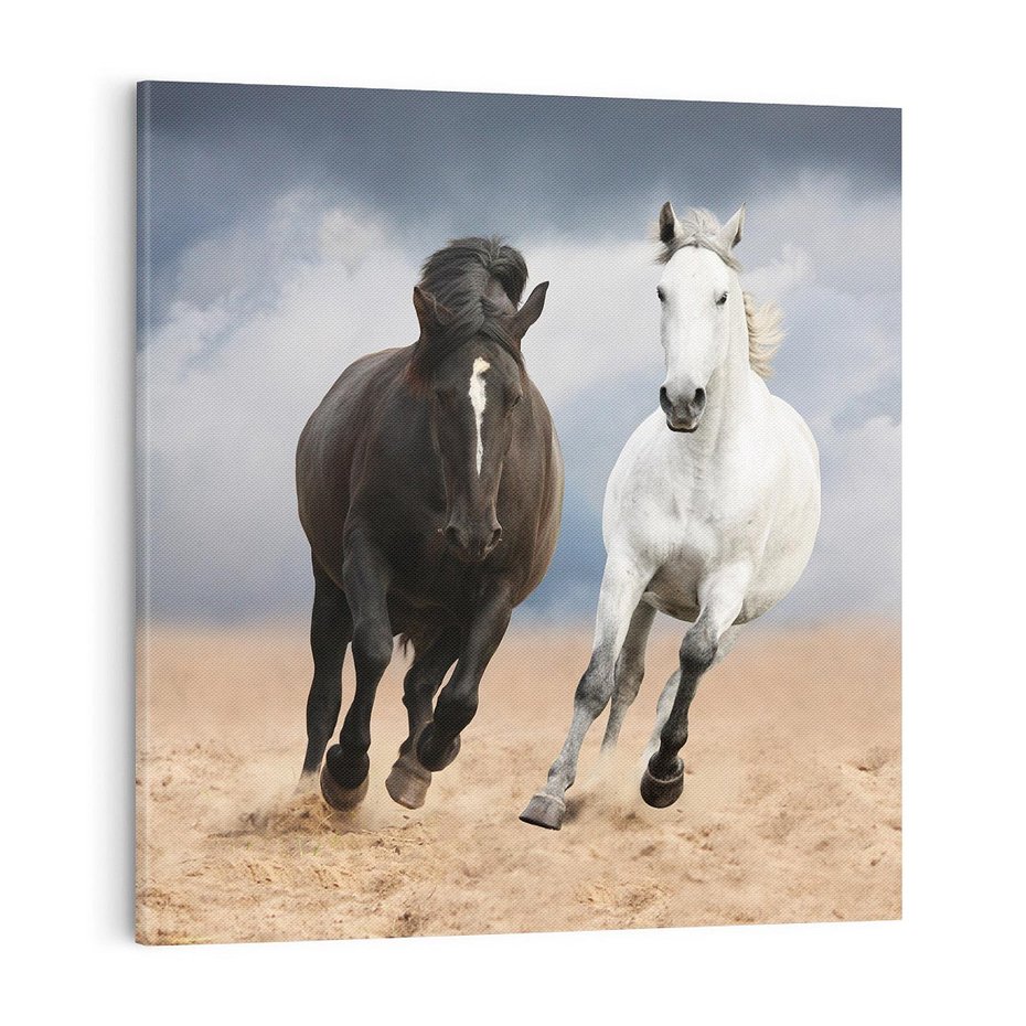 Obraz na płótnie 70x70 - Siła koni w galopie - konie, galop