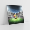 Obraz na płótnie 30x30 - Piłka nożna na stadionie: Pasja sportu - stadion, piłka