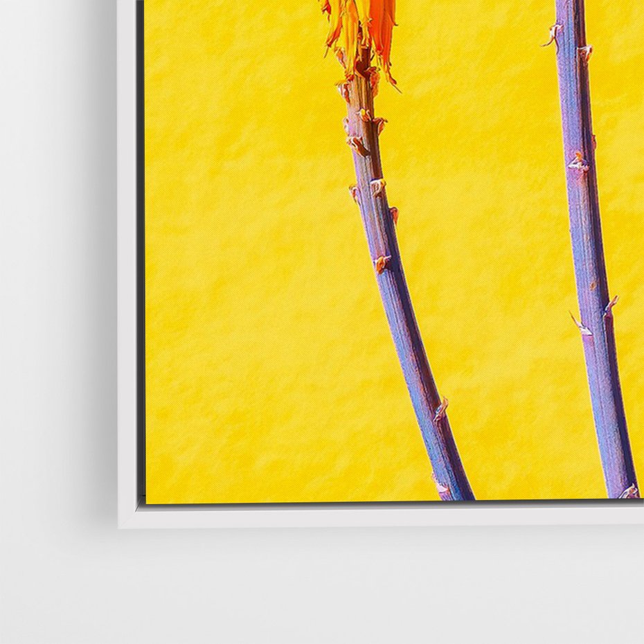 Obraz w ramie 80x120 - Radość Natury - kolor, kwiaty - rama biała