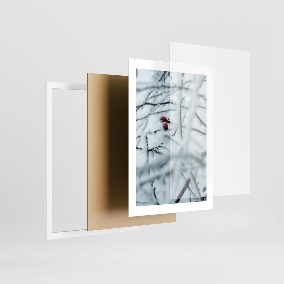 Plakat w ramie 30x40 - Zima w Detalu: Gałęzie ze Szronem i Śniegiem - śnieg, zima - rama biała