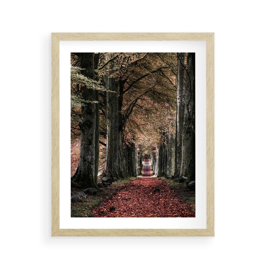 Plakat w ramie 40x50 - Spacer po Leśnej Drodze - ścieżka w lesie, jesień suche liście - rama drewno
