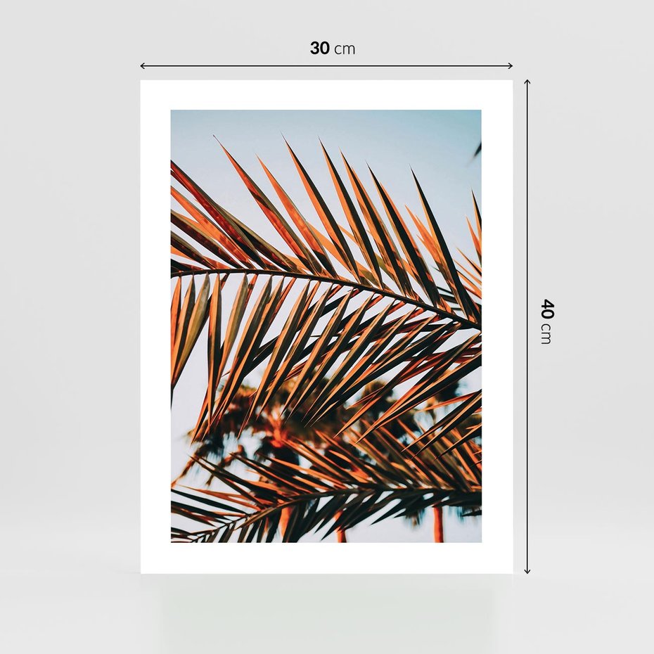 Plakat bez ramy 30x40 - Tropikalna Harmonia - palma, liście palmy