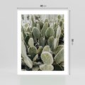 Plakat bez ramy 40x50 - Kaktusowa Harmonia - kaktusy, fotografia