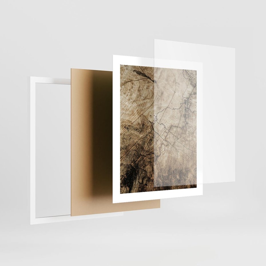 Plakat w ramie 40x50 - Słoje Natury - słoje drzewa, pieńdrzewa - rama biała