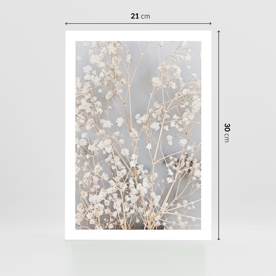 Plakat bez ramy 21x30 - Białe Drobne Kwiaty - gipsówka, białe drobne kwiatki