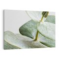 Obraz na płótnie 70x50 - Eukaliptusowa zieleń - eukaliptus, zielone