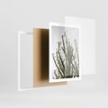 Plakat w ramie 50x70 - Ekskluzywna Roślinność - kaktusy, liście - rama biała