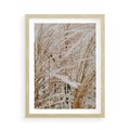 Plakat w ramie 50x70 - Beżowa Trawa - suche trawy, zbliżenie - rama drewno