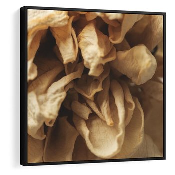 Obraz w ramie 50x50 - Zjawiskowe zasuszone kwiaty - zasuszone, kwiaty - rama czarna