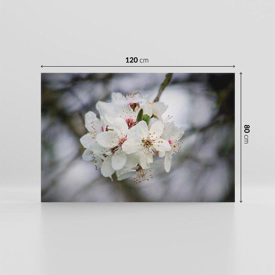 Obraz na płótnie 120x80 - Kwiatowa harmonia w tonacji pastelowej - kwiat, kwiaty