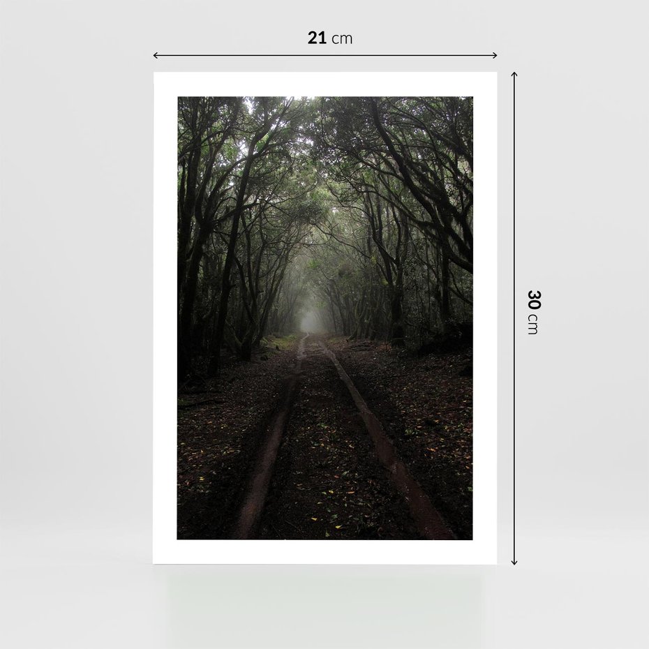 Plakat bez ramy 21x30 - Urok Drogi - las, droga