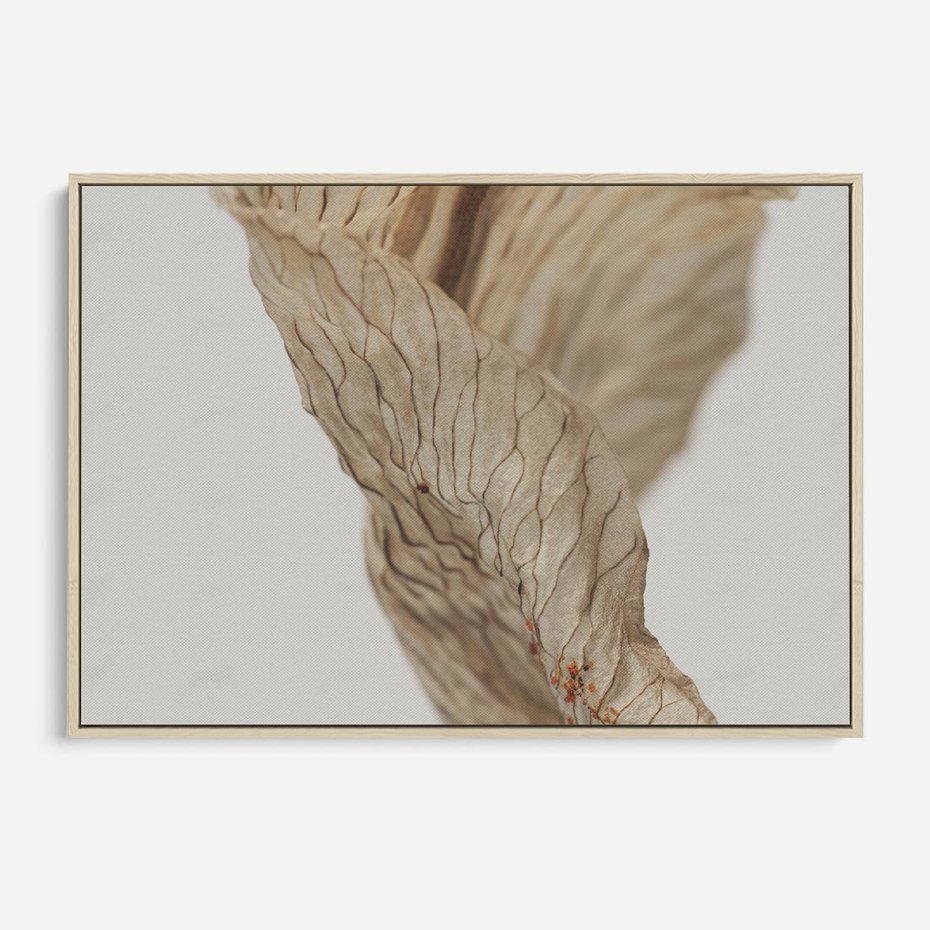 Obraz w ramie 100x70 - Suszone piękno - susz, suche - rama drewno